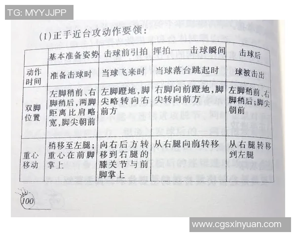 乒乓球新手必看攻略:轻松掌握基础技巧与配合入门方法