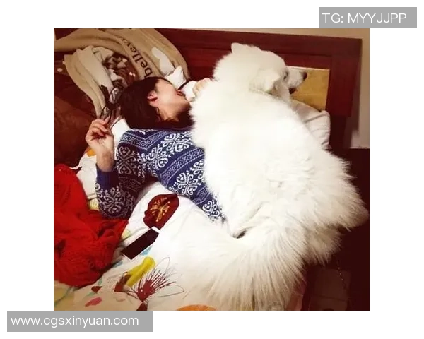 女子偶遇足球明星的奇妙瞬间背后隐藏的故事与感动