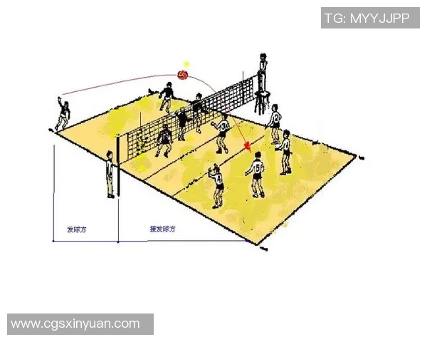 重庆排球队区域防守策略揭秘深度分析排球战术与团队协作 重庆排球队区域防守策略揭秘深度分析排球战术与团队协作